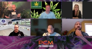 CANNABIS MARKET FAILING WHY