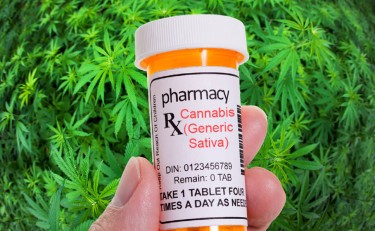 IS ALL CANNABIS FLOWER GENERIC