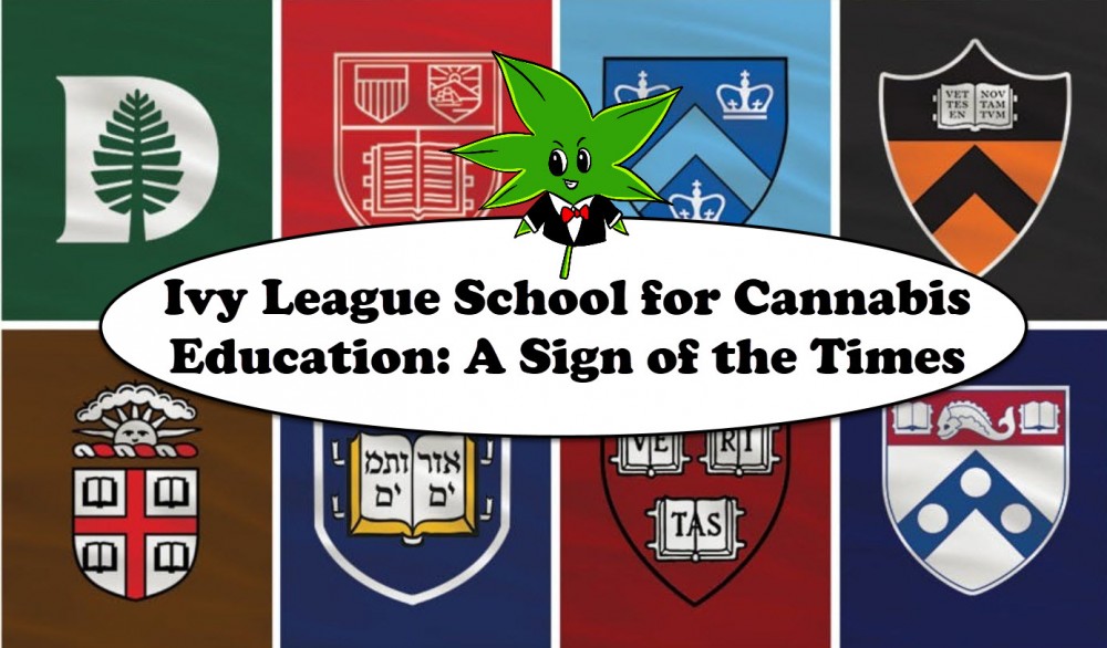 IVY LEAGUE WEED CLASSES