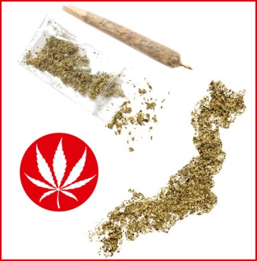 JAPAN TO LEGALIZE MARIJUANA