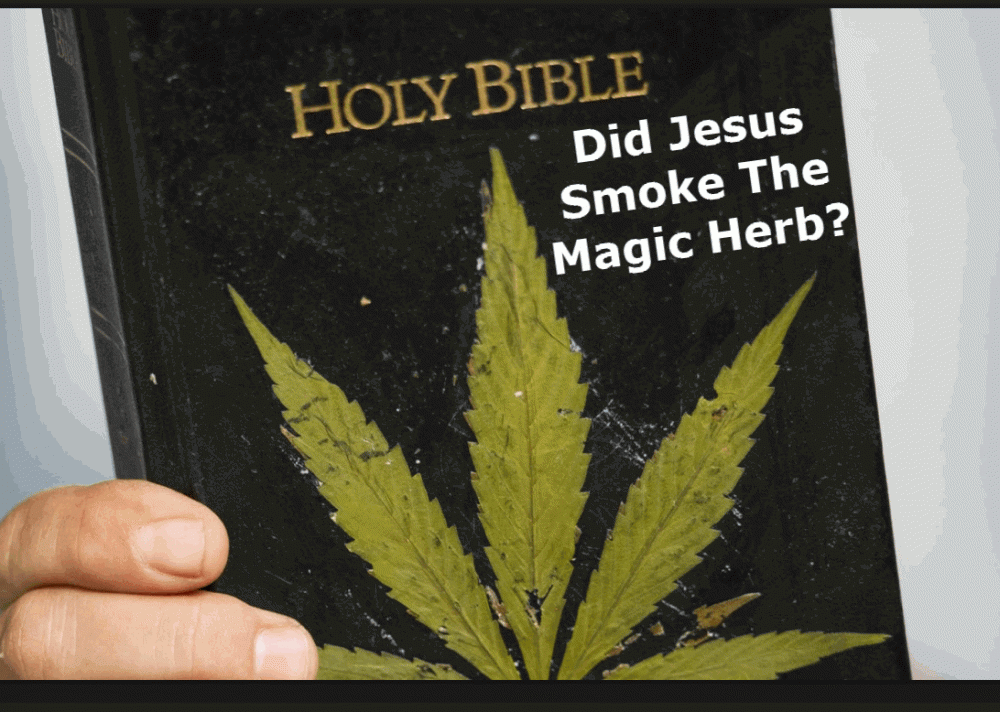 BIBLE AND CANNABIS WHAT JESUS SAID