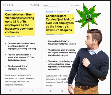 cannabis industry bottom