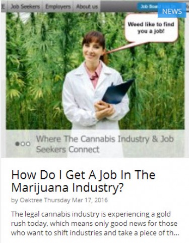 HOW TO GET A WEED JOB