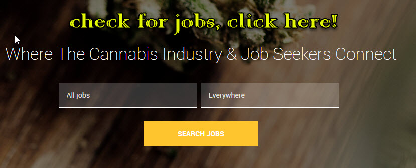 cannabis jobs now