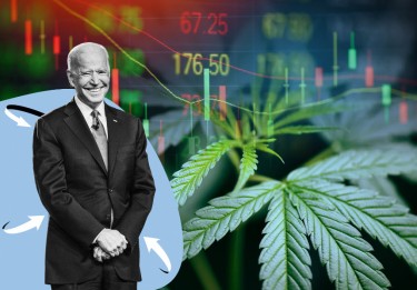 Biden on cannabis stock market