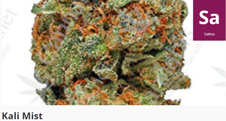 kali mist strain