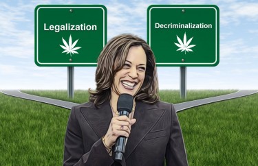 KAMALA HARRIS ON WEED LEGALIZATION NOW