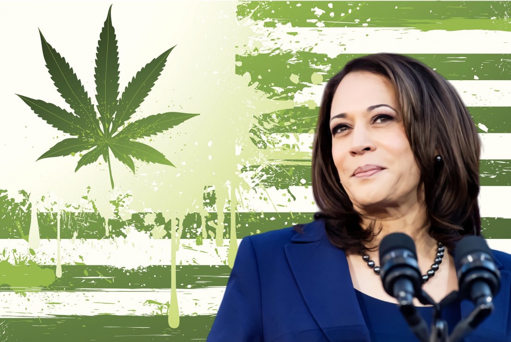 KAMALA ON WEED