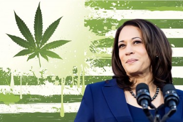 KAMALA HARRS VP ON WEED