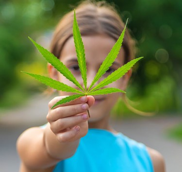 kids asking about cannabis to their parents