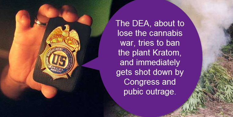 DEA ON KRATOM