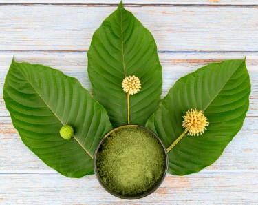 kratom and cannabis 