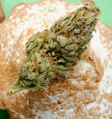 laced cannabis buds