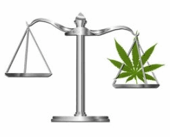 marijuana law
