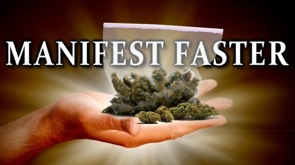 manifest faster cannabis