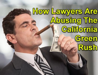 lawyers abusing the cannabis movement