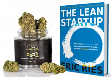 cannabis lean startup