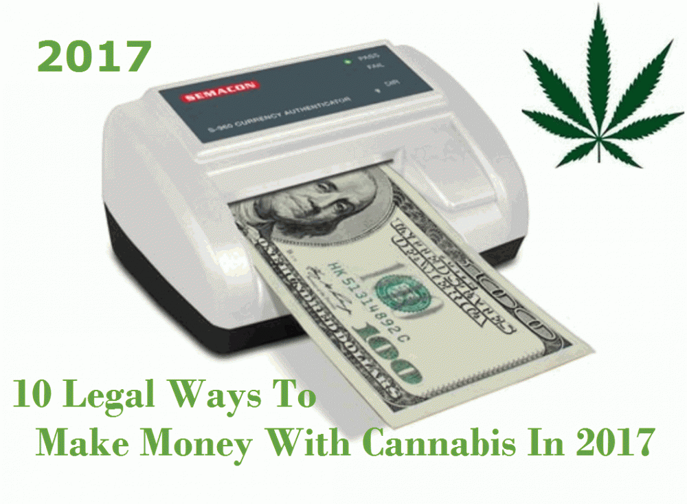 legal cannabis ideas to make money