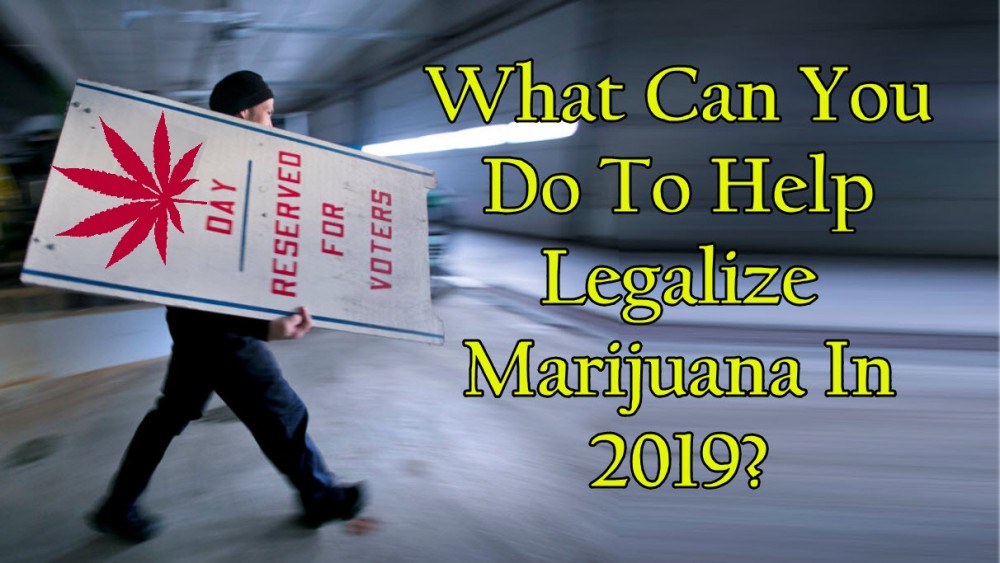 what can you do to help cannabis legalization