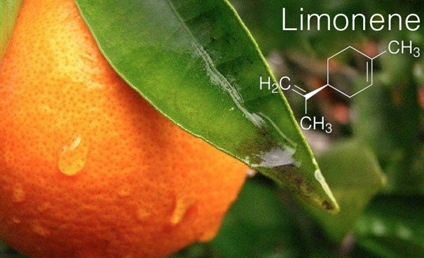 limonene terpenes