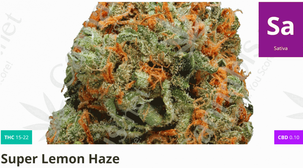 super lemon haze strain