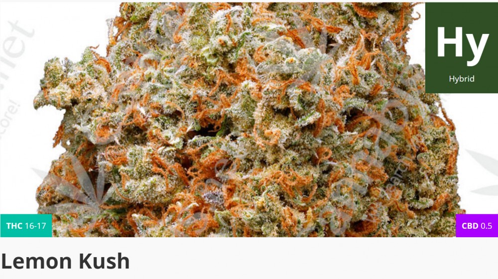 lemon kush strain