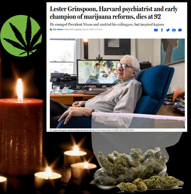 lester greenspoon cannabis marijuana leader