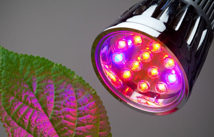 grow light intensity