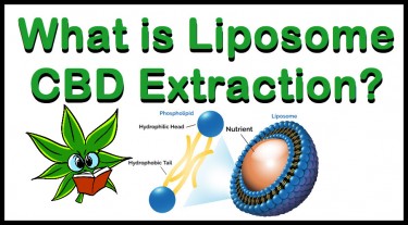 WATER LIPOSOME EXTRACTION FOR CBD