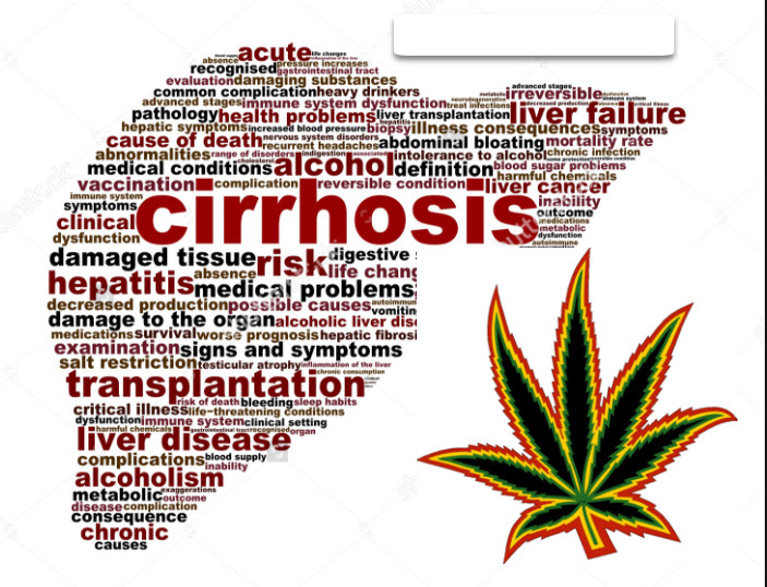 CANNABIS FOR LIVER DISEASE FROM ALCOHOL