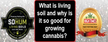 WHAT IS LIVING SOIL