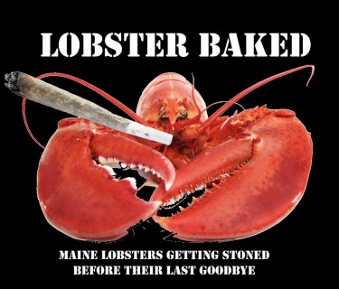 LOBSTERS GETTING MARIJUANA BEING COOKED