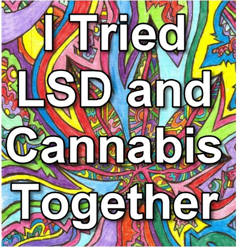 LSD AND MUSHROOMS 