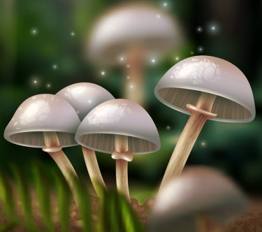 magic mushrooms and depression