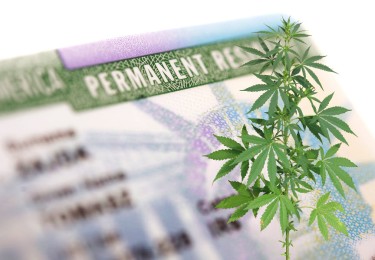 maine cannabis ruling residency