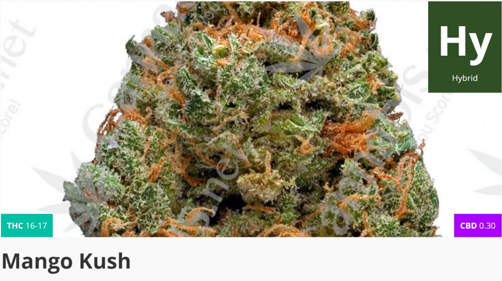 mango kush marijuana