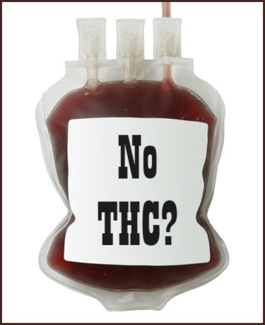 no thc in blood plasma