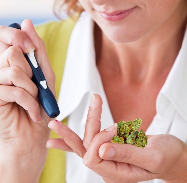 marijuana and diabetes