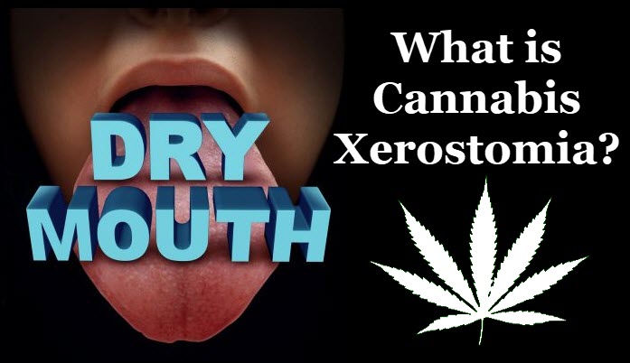 WHAT IS COTTON MOUTH FROM MARIJUANA