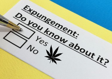 marijuana expungement records