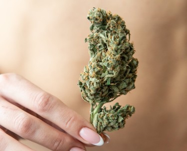 marijuana for better sex