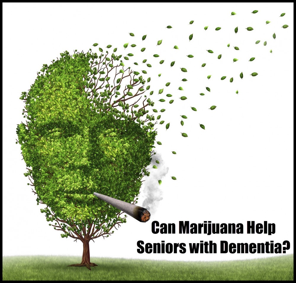 seniors with marijuana for dementia