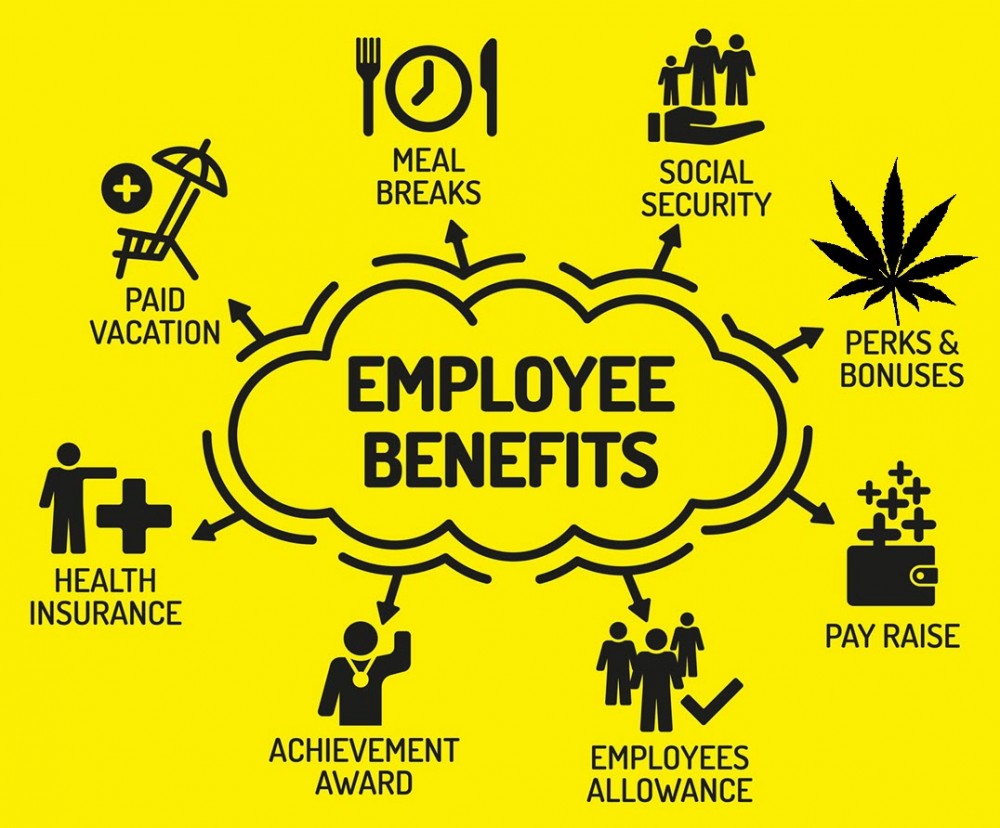 marijuana as a job benefit to employees