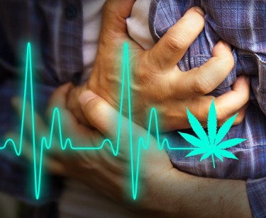 marijuana for heart attacks