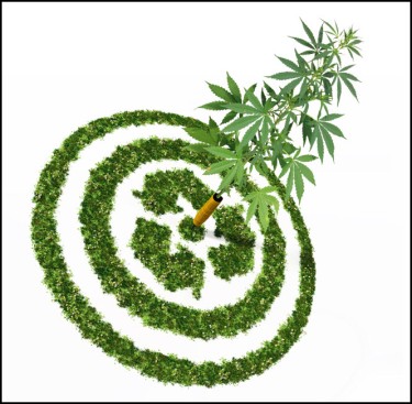 marijuana growing and the environment
