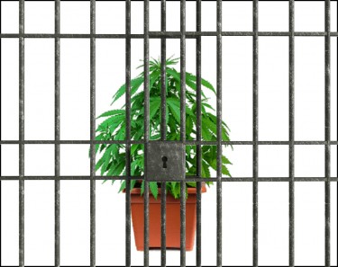 IS MEDICAL MARIJUANA ALLOWED IN JAIL