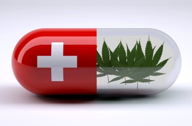 Switzerland goes export of weed