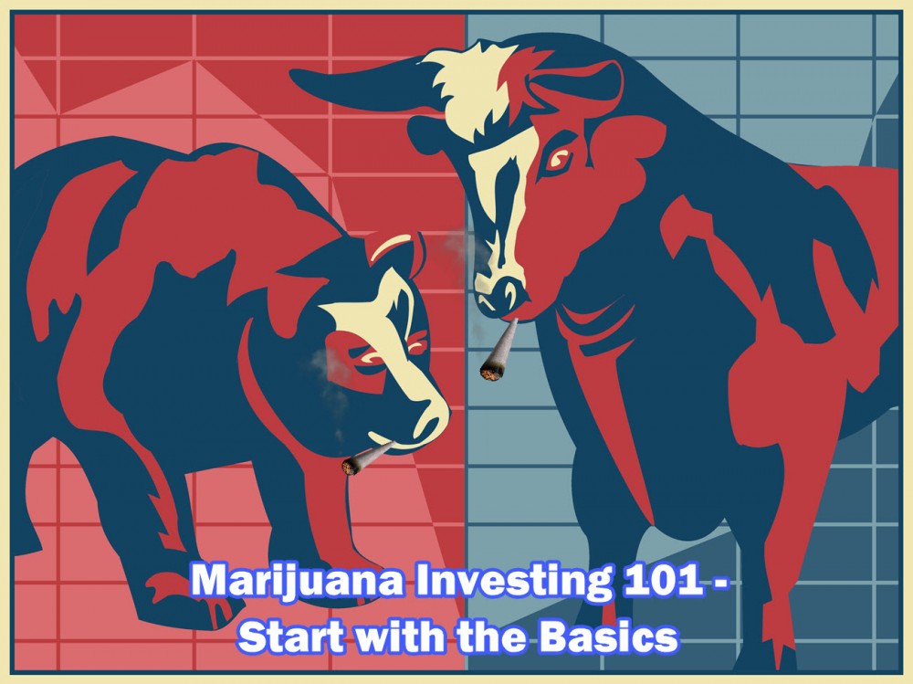 MARIJUANA INVESTING BASICS