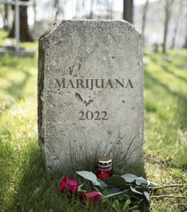 marijuana is dead delta-8 hemp THC