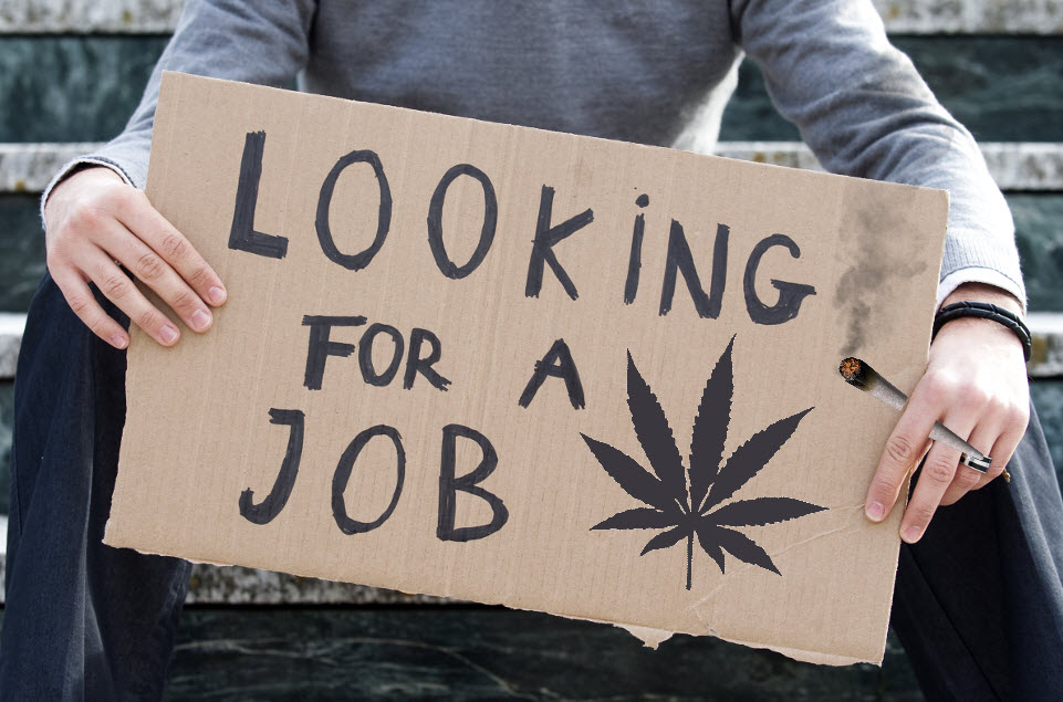do jobs in the marijuana industry pay well